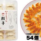 ふるさと納税 【大阪名物】大阪ふくちぁん餃子 冷凍生餃子 54個 ［18個入×3セット］ 大阪府大東市