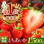 苺 いちご サイズおまかせ とちあいか 約1500g