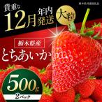 苺 いちご 初摘みとちあいか 約500g