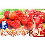 ふるさと納税 苺 訳ありいちご　サイズランダム 1kg以上【先行予約】【栃木県共通返礼品】 | 栃木県 下野市 栃木県下野市