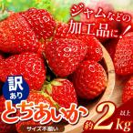 苺 いちご サイズランダム とちあいか 約2000g