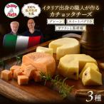 100%県産生乳 イタリア出身の職人が作るカチョッタチーズ3種