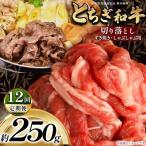 最高位賞を受賞 最高級ブランドの柔らかく風味豊かなとちぎ…