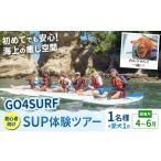 初心者向けSUP体験ツアー 1名様+愛犬1匹
