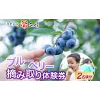摘み取り券 ブルーベリー農園 果実狩り