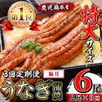 うなぎ蒲焼 特大 サイズ 2尾セット i1172-B