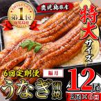 うなぎ蒲焼 特大 サイズ 2尾セット おかず
