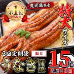 うなぎ蒲焼 特大 サイズ 5尾セット i1176-A