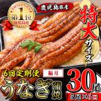 うなぎ蒲焼 特大 サイズ 5尾セット i1177-A