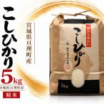 令和8年産 精米 コシヒカリ 5kg