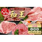くまもと 黒毛和牛 和王 バラエティ 定期便E