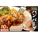 ショッピングふるさと納税 玉ねぎ ふるさと納税 北見市産玉ねぎ使用 玉ねぎハンバーグ 150g×10個 ( 肉 加工品 たまねぎ タマネギ 焼肉 小分け )【224-0011】 北海道北見市