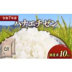 令和7年産 無洗米 ハナエチゼン10kg