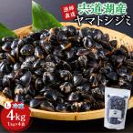 漁師直送 宍道湖産ヤマトシジミ Lサイズ