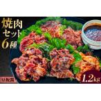 焼肉セット6種 豆板醤 味付け 簡単 1.2kg