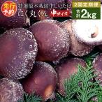 特選原木栽培生しいたけ にく丸くん 中サイズ 1.0kg
