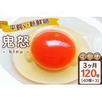 平飼い新鮮卵 鬼怒 40個×3回
