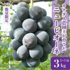 世羅産ニューピオーネ 約3kg