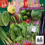 野菜 7袋