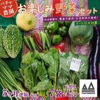 野菜 7袋