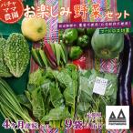 野菜 9袋
