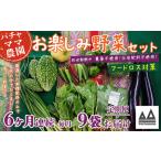 ふるさと納税 野菜 9袋 訳あり 6ヶ月 定期便 詰め合わせ お任せ 旬 野菜 茨城県下妻市