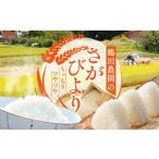 ひとみちゃんちのさがびより 5kg