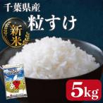 令和8年産 新米 精米 5kg