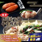 博多特選もつ鍋 醤油味 2.5人前