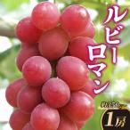 ルビーロマン 1房 約500g
