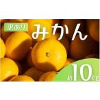 ふるさと納税 【訳あり】 森本農園の手選別 みかん 約10kg 和歌山県産 2S~2Lサイズ混合 【2025年11月上旬〜2026年2月中旬ごろに順次発送】【.. 和歌山県すさみ町