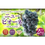 ニューピオーネ 2kg