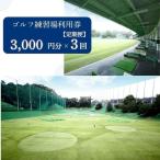 ゴルフ練習場利用券 30-102