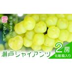 瀬戸ジャイアンツ 2房 1房480g以上