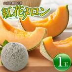 令和9年産 紅花メロン 赤肉 3Lサイズ×1玉入り1箱
