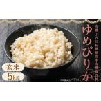 ふるさと納税 【令和7