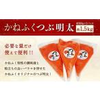 かねふく 絞って使える つぶ明太 約1.5kg