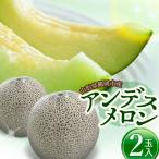 アンデスメロン 青肉 3Lサイズ×2玉入り1箱