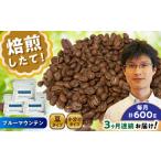 ブルーマウンテンNo.1 コーヒー豆 200g×3個