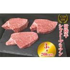 常陸牛 シャトーブリアン 200g前後×3枚