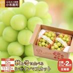 秋と冬に食べるシャインマスカット 2房 約1kg