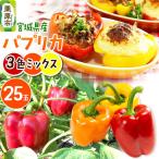 3色MIX 赤黄橙 25玉詰め
