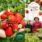 いちご ゆうべに 約500g