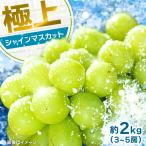シャインマスカット 2kg