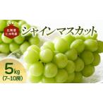 シャインマスカット JA新おたる