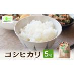 コシヒカリ 米 有機JAS 認証 白米