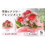 定期便 季節のフラワーアレンジメント レッド
