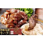やわらか 牛ハラミ サガリ 肉 極旨秘伝醤油タレ漬け600g 30…