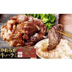 やわらか 牛ハラミ サガリ 肉 極旨秘伝醤油タレ漬け900g 30…