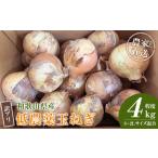 fu.... налог [2026 год отправка минут * предшествующий предварительный заказ ] есть перевод сельское хозяйство дом san прямая поставка низкий пестициды шар лук порей 4kg степень S~2L смешивание [4 месяц средний .~7 месяц средний . примерно отправка предположительно ]. для бытового использования *.. Wakayama префектура 9 раз гора блок 